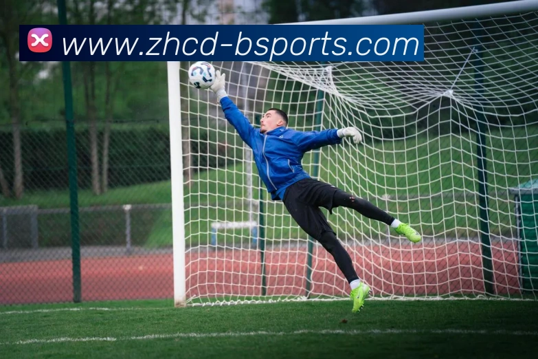 B体育BsportsAPP 封面图